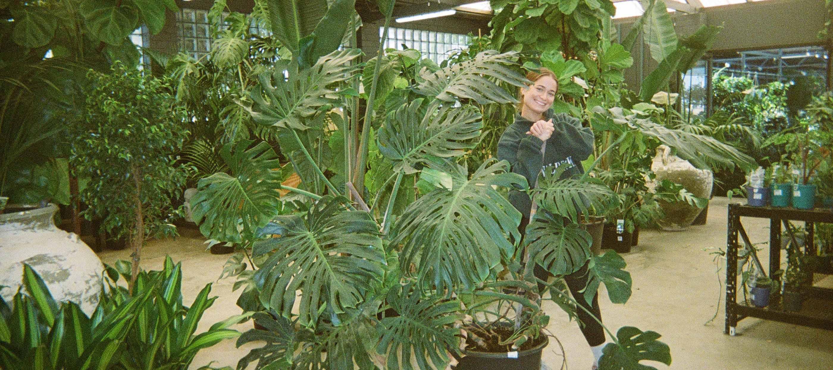 Perth's Premier Garden Sanctuary