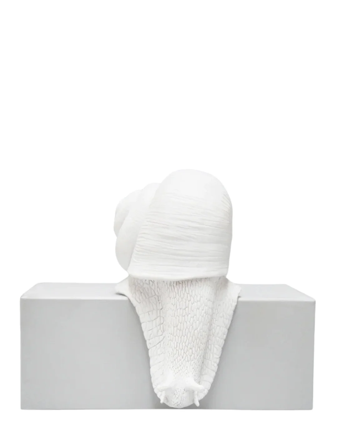 Shelf Snail - Image 2