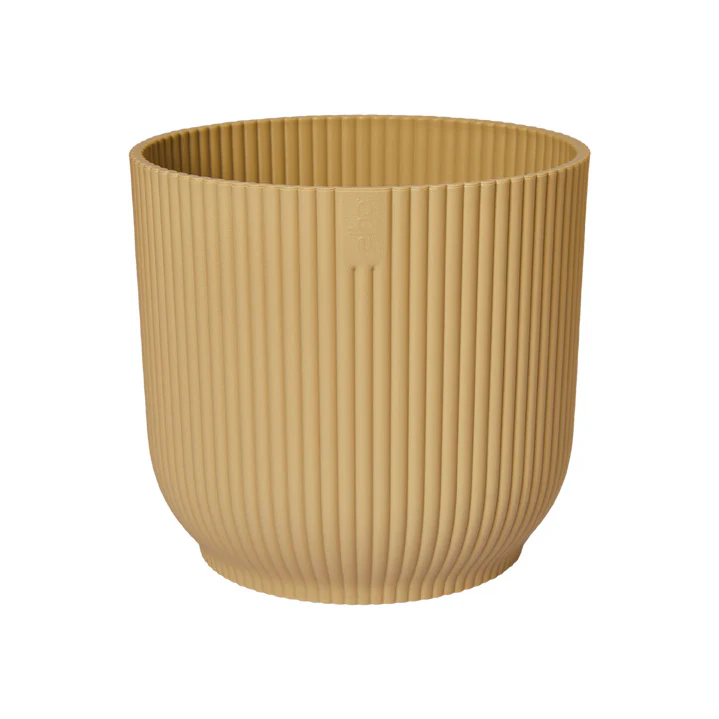 Vibes Fold Round - Image 5